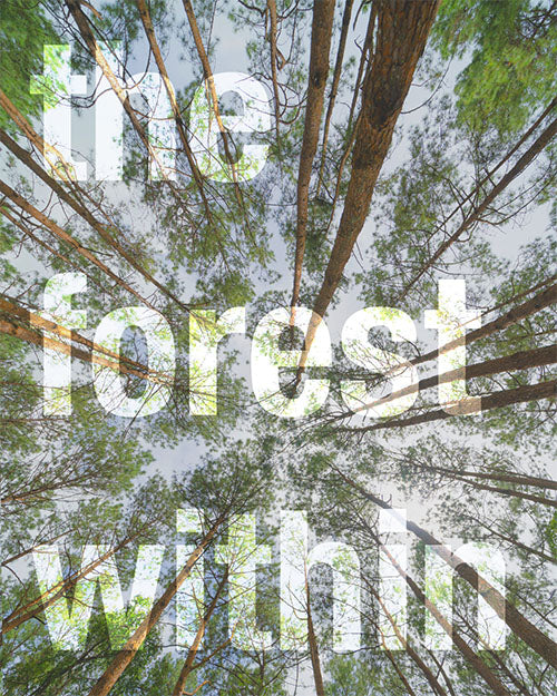 The forest within