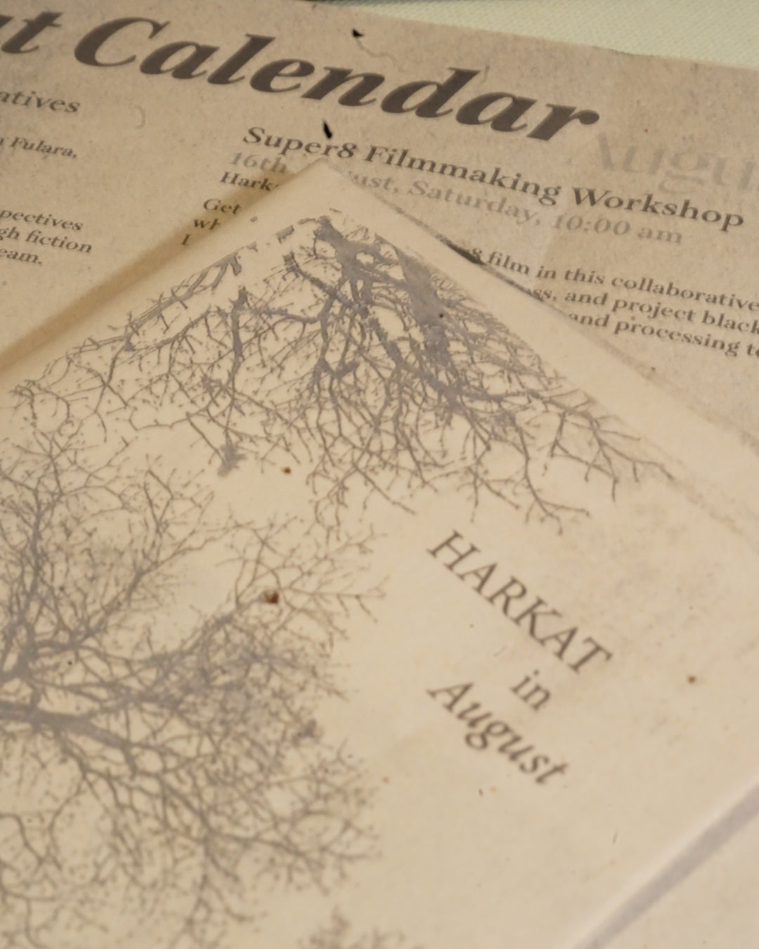 Harkat Newsletter 6-month Subscription